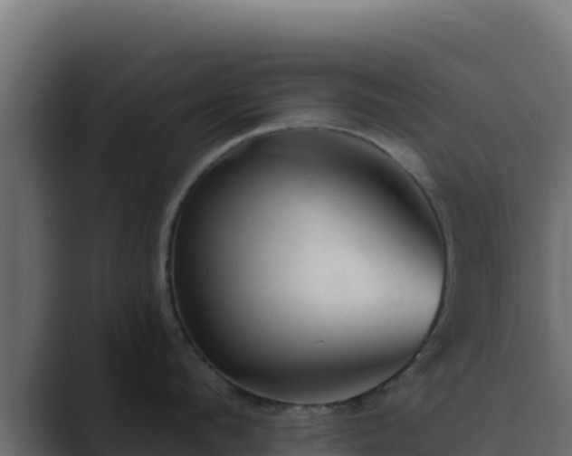 X0000089680912200706281355