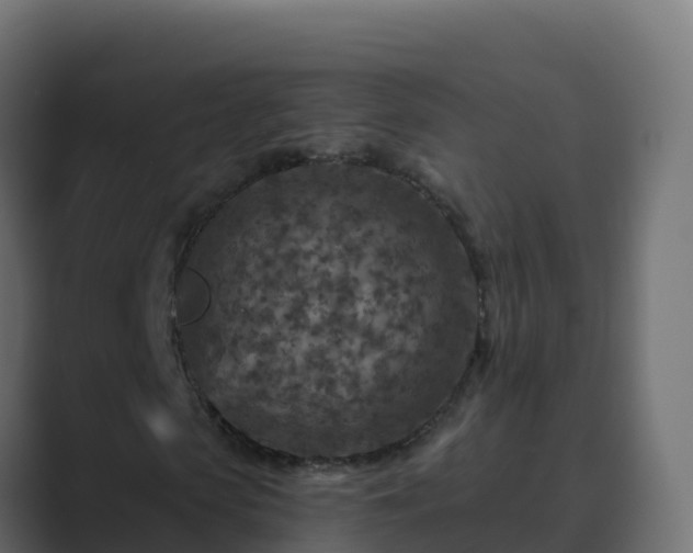 X0000089680913200706281355