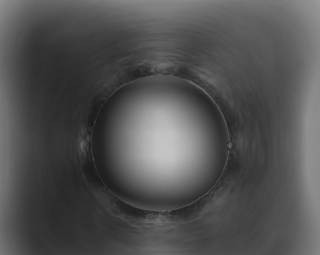 X0000089680914200706281355