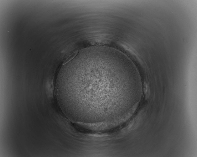 X0000089680915200706281355