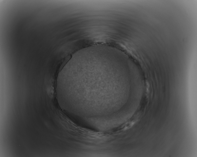 X0000089680916200706281355