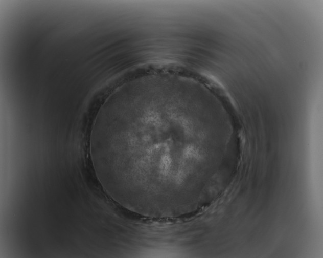X0000089680919200706281355