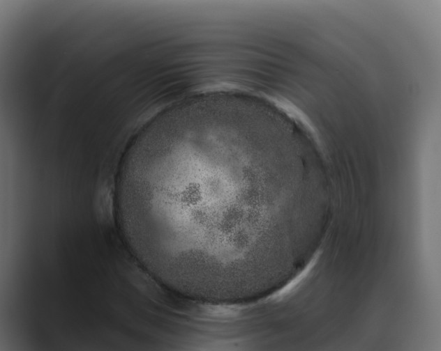 X0000089680921200706281355