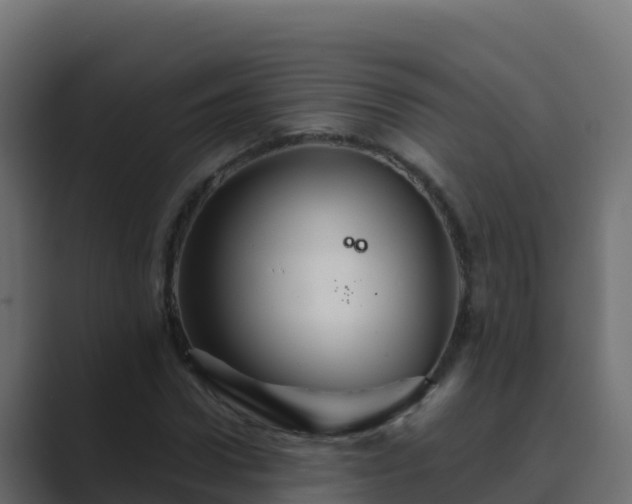 X0000089680922200706281355