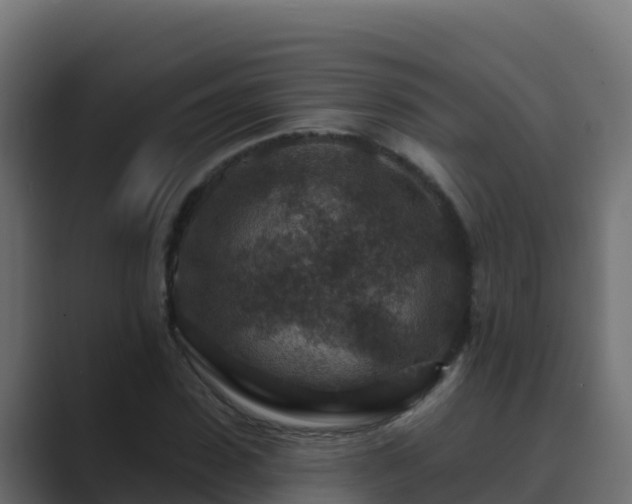 X0000089680923200706281355