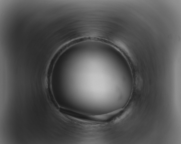 X0000089680924200706281355