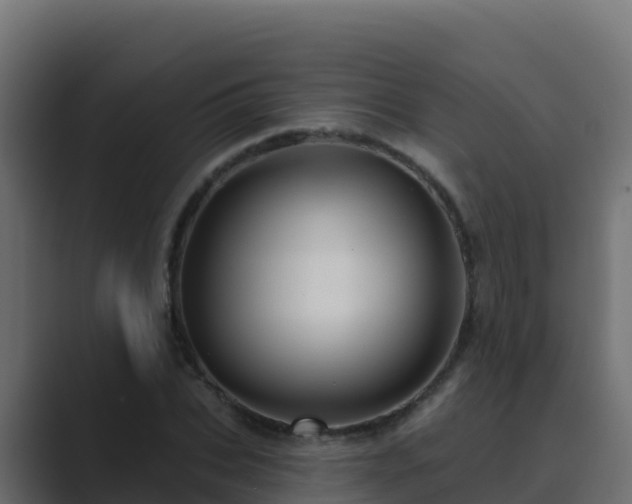 X0000089680927200706281355
