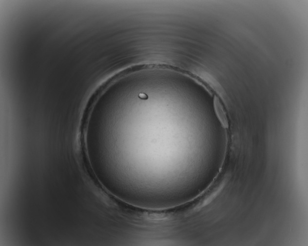 X0000089680928200706281355