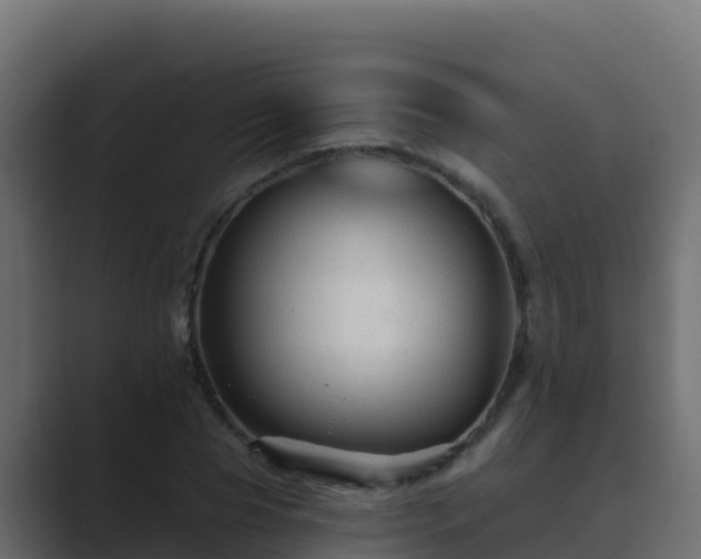 X0000089680929200706281355
