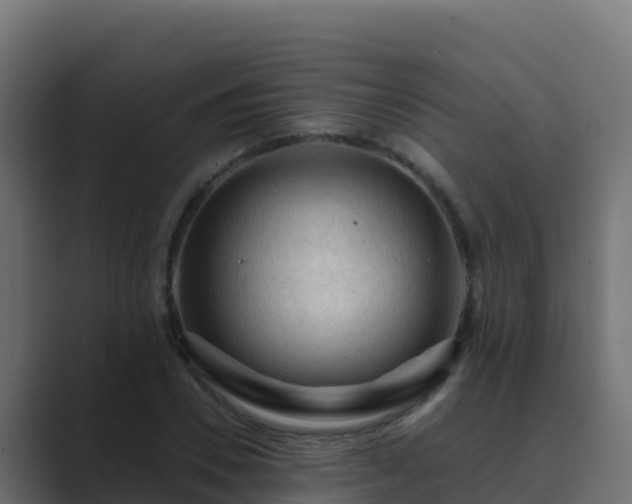 X0000089680930200706281355