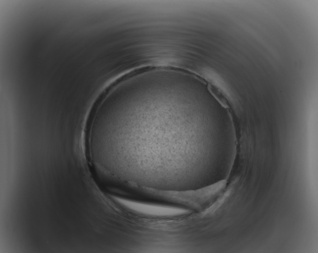 X0000089680932200706281355