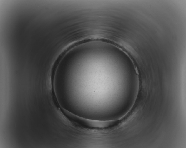 X0000089680934200706281355