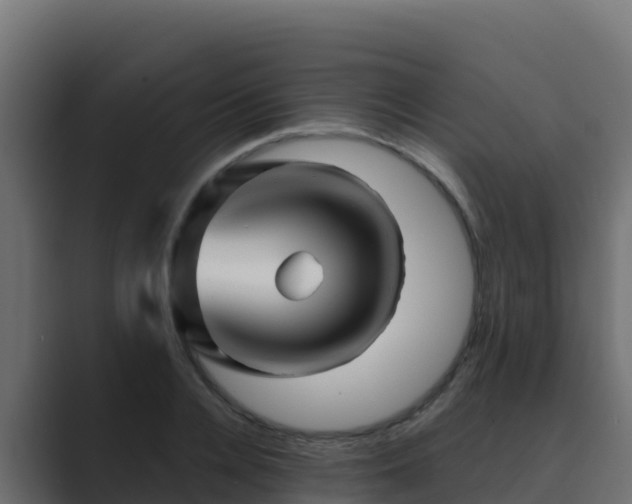 X0000089680936200706281355