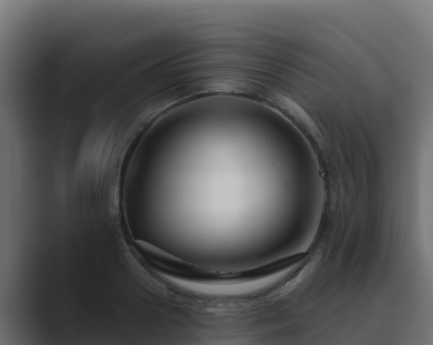 X0000089680938200706281355