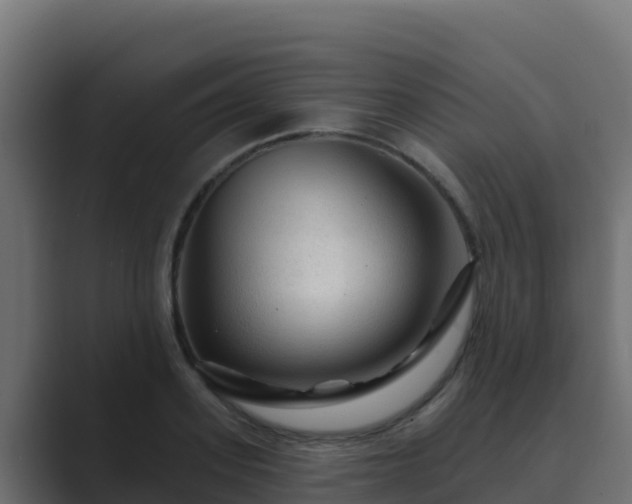X0000089680939200706281355