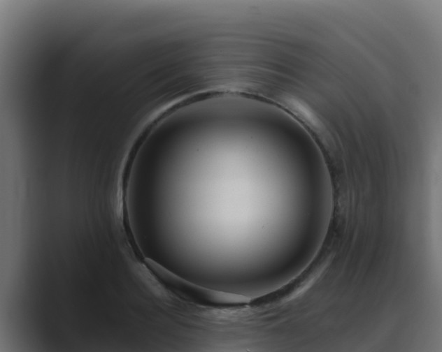 X0000089680940200706281355