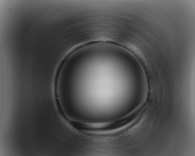 X0000089680942200706281355