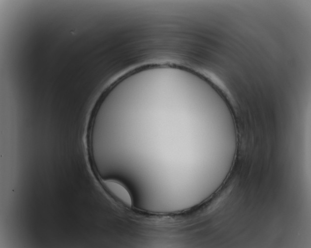 X0000089680943200706281355