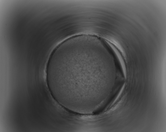 X0000089680944200706281355
