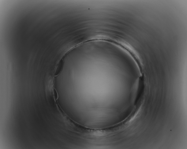 X0000089680945200706281355
