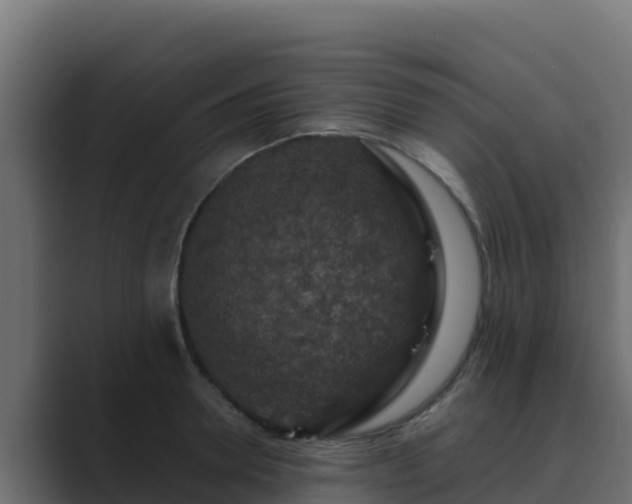 X0000089680946200706281355