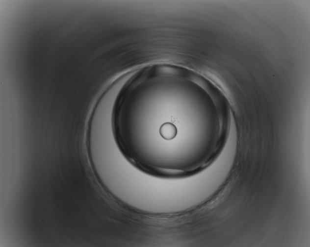 X0000089680948200706281355