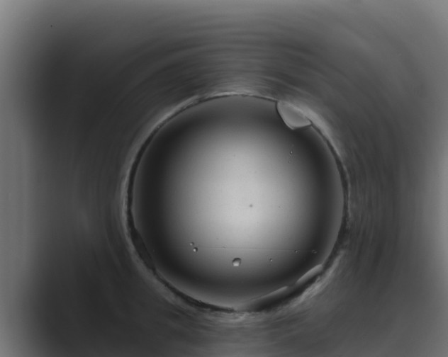 X0000089680949200706281355