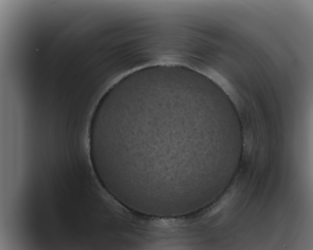 X0000089680950200706281355