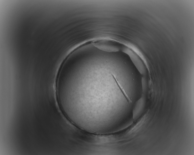 X0000089680951200706281355