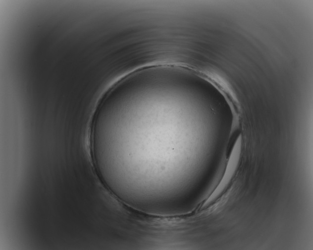 X0000089680952200706281355