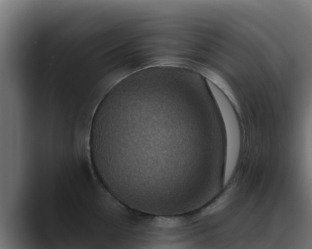X0000089680954200706281355