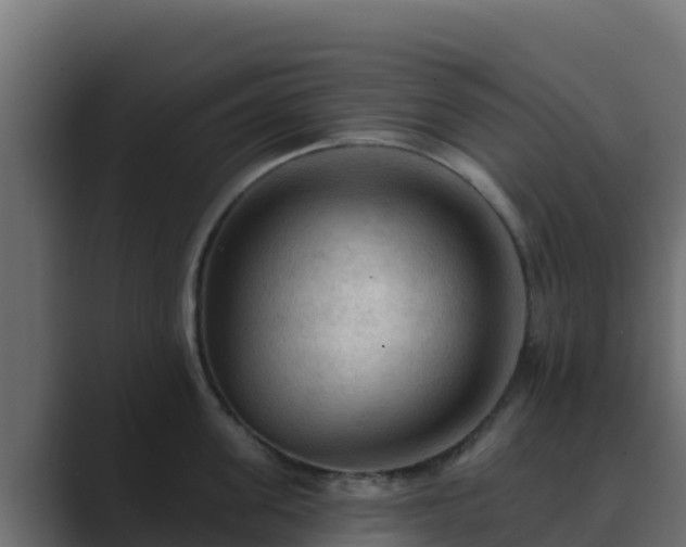 X0000089680955200706281355