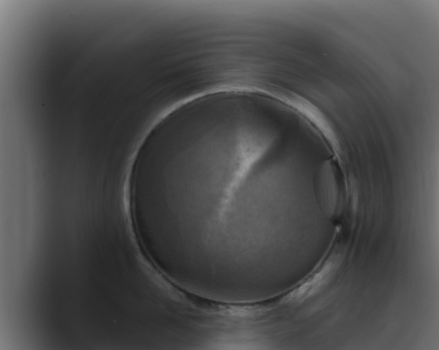 X0000089680958200706281355