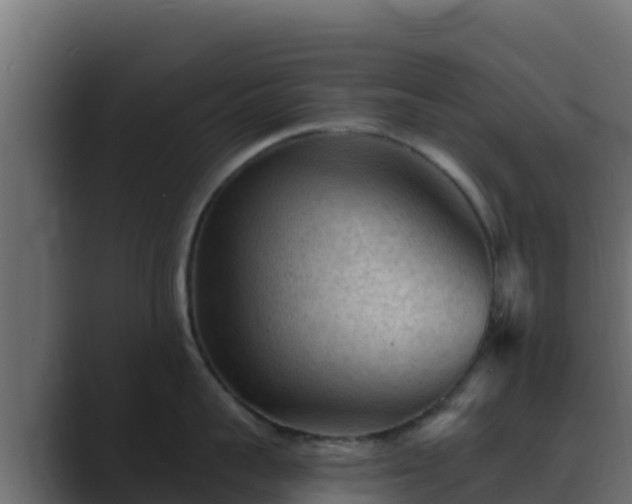 X0000089680959200706281355