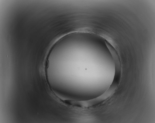 X0000089680960200706281355