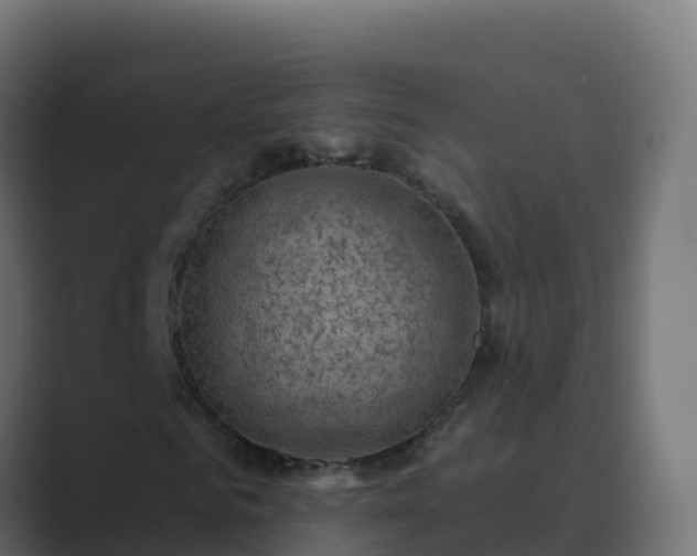 X0000089680961200706281355