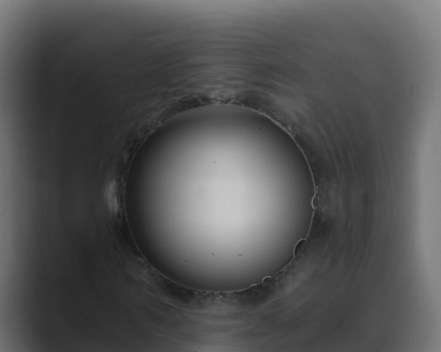 X0000089680962200706281355