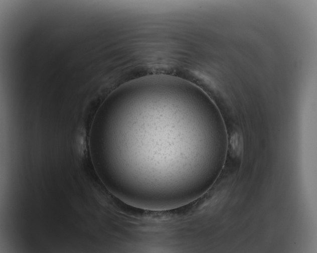 X0000089680963200706281355