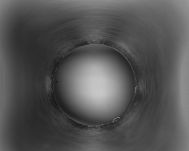 X0000089680964200706281355