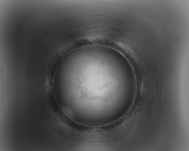 X0000089680966200706281354