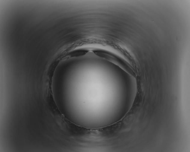 X0000089680968200706281354