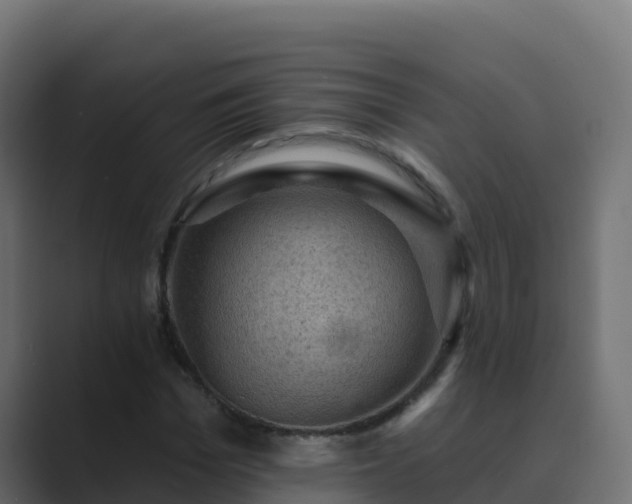 X0000089680969200706281354