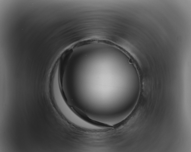 X0000089680972200706281354
