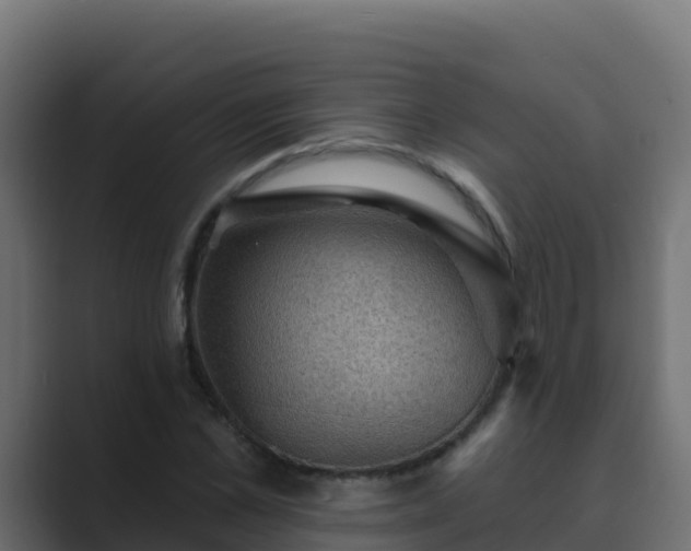 X0000089680973200706281354