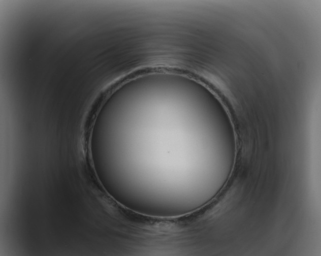 X0000089680974200706281354