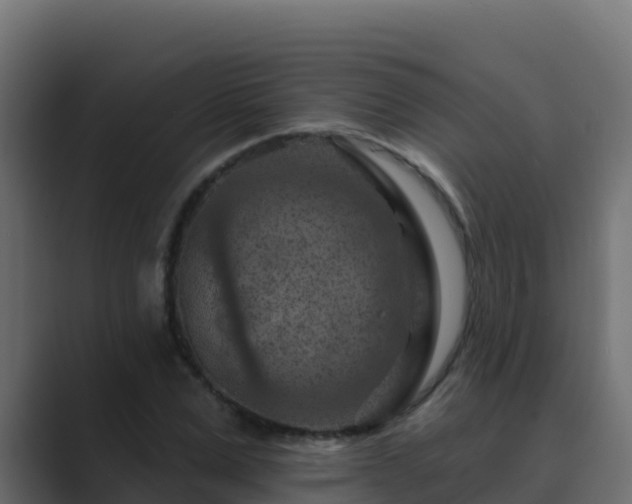 X0000089680975200706281354