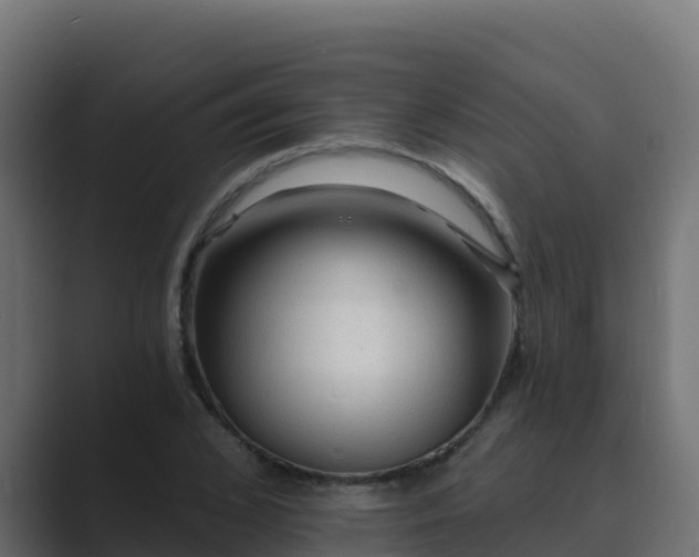 X0000089680976200706281354
