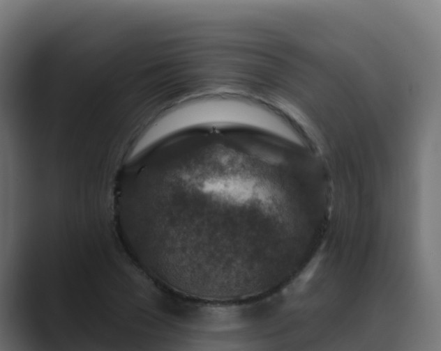 X0000089680977200706281354