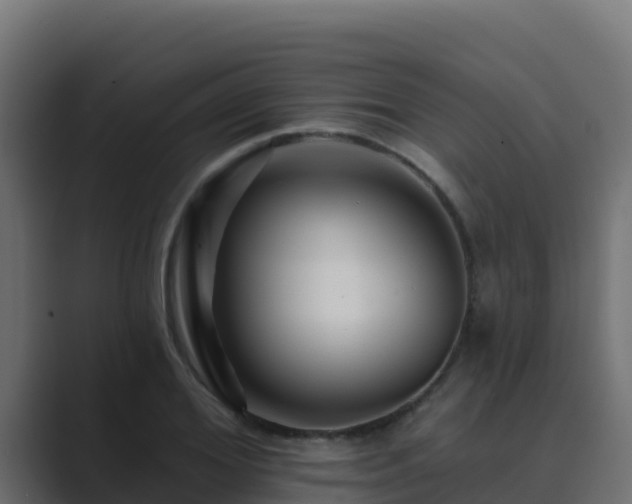 X0000089680980200706281354