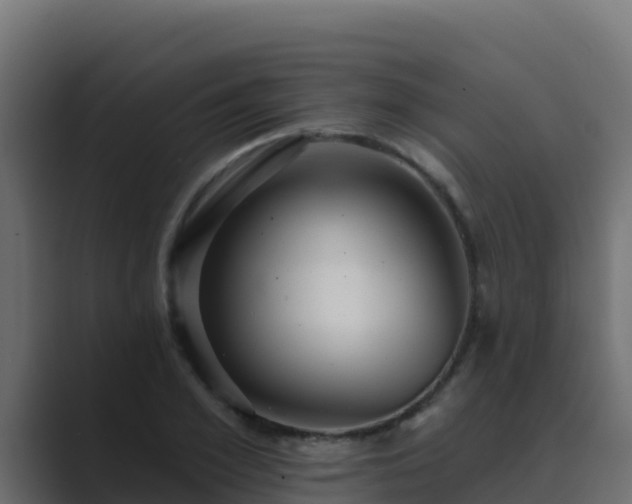 X0000089680981200706281354